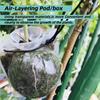 10PCS Clear Reusable Plant Rooting Grow Box Propagation Ball Grafting Box Clear