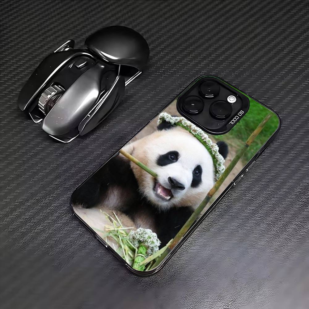 

fubao panda Phone Case For iPhone17,16,15,14,13,12,11 Plus,Pro Max Colored Silver Plated Inside Cover iPhone12PROMAX