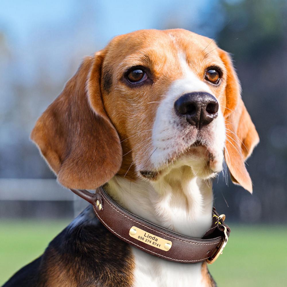 Personalized PU Leather Dog Collar Free Engraved Dog ID Tag Collars Pet Training Quick Control Necklace With Handle For Dogs
