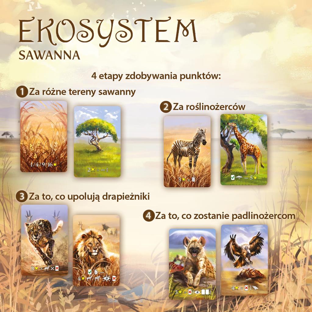 Ecosystem 3 - Savannah