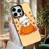 Phone Case: 2D Flat, Fits iPhone 18, 17, 16, 15, 14, 13 Pro, Color Silver Protective Case, Couple Style, Pumpkin Kitten, Christmas and Halloween Gift