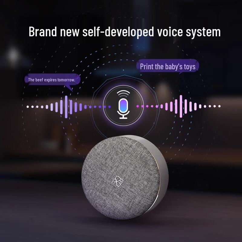 Hanyin Portable Smart Bluetooth Label Printer CN plug (adapter included)