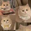 Cotton Lace Cat Bib With Bow Decorative Neck Scarf Small Pets Accessory