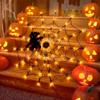 Creative Halloween LED Light String Funny Atmosphere Light Spider Web Light Prop Layout