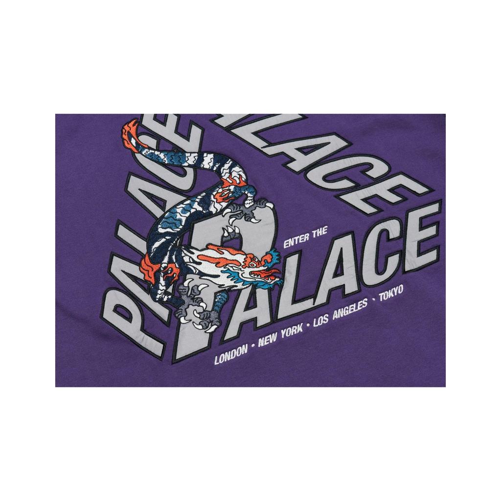 Palace Dragon P-3 Hood Purple Men Tops P23CS066