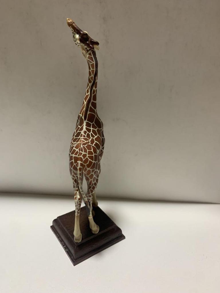 [USED] Nature Technicolor Reticulated Giraffe Savanna