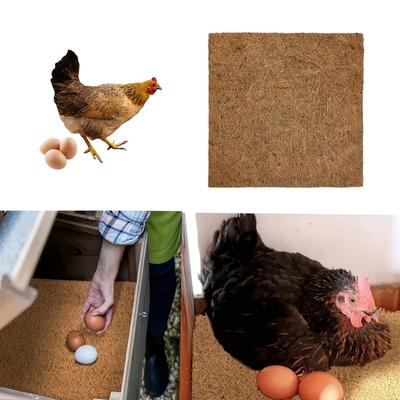 Sürüngen – Sürüngen Terraryumları