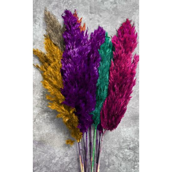 

Shocked Spring Model Colorful Pampas Bundle 10 шт.