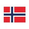 Printwear Polyester Norway Flag