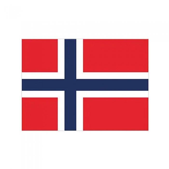 Printwear Polyester Norway Flag