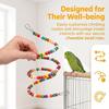 Interactive Hanging Hooks Bird Stand Colorful Beads Plastic Bird Swing Bendable Design Bird Activity Leg Exercise