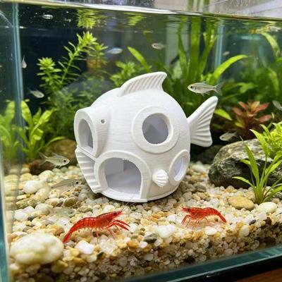 Fische & Meerestiere – Aquarien-Einrichtung