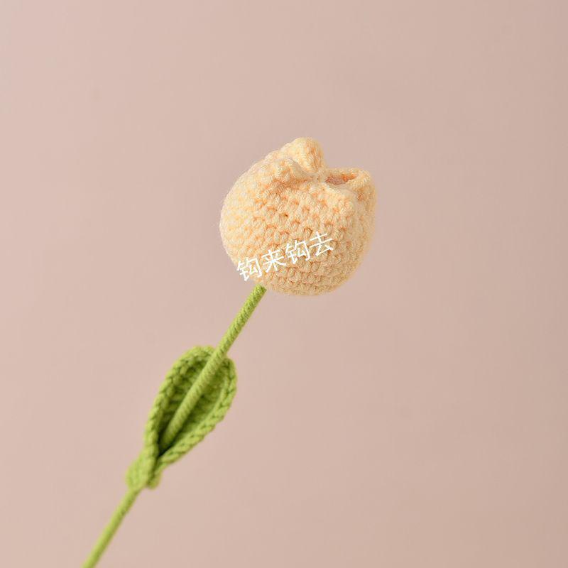 

Handmade Wool Crochet Tulip Bouquet - Perfect Gift for Best Friend