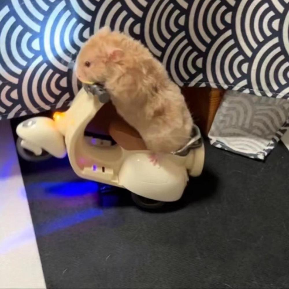 Hamster Stunt Rotierendes Motorrad 360 Grad Elektroroller Beleuchtung Kreatives Spielzeug Musik Rotierendes Spielzeug Haustierbedarf