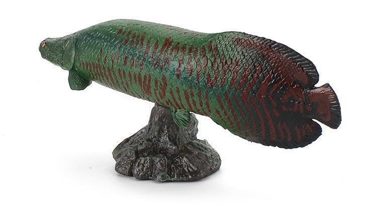 [Nekogamiyama] Pirarucu Freshwater Fish Amazon Figure Model Miniature Ornament Decor Collector's Model
