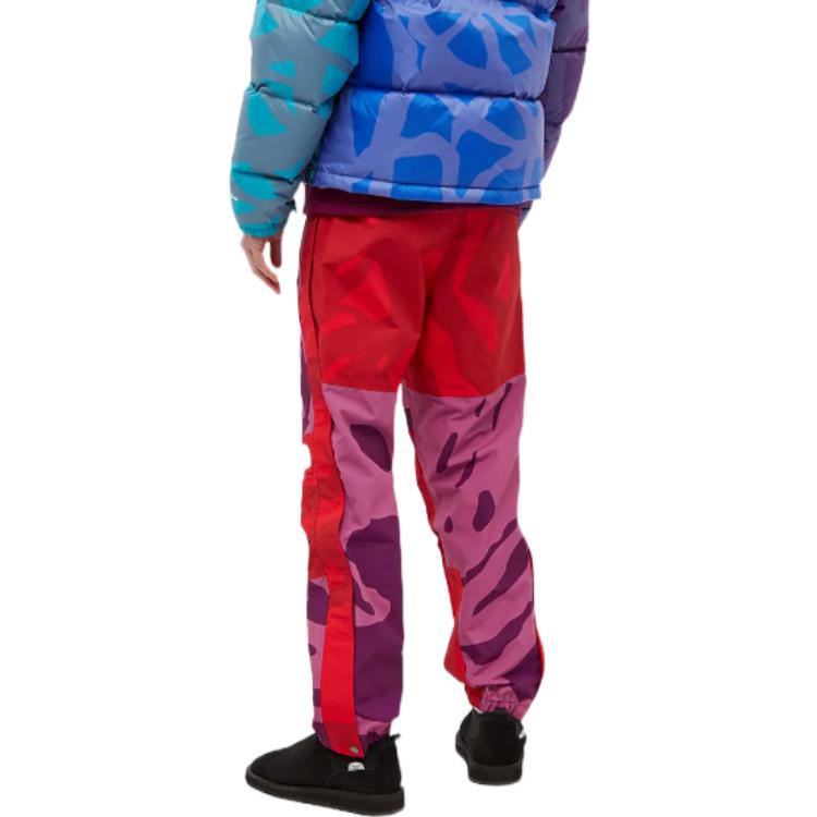 Kaws X THE NORTH FACE Mountain Light Pants NF0A7WLS-76G