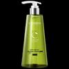 Scalp Care Oil Control Anti-Dandruff Shampoo