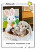 Carrot Rabbit Plush Toy Series - Soothing Dolls Available Now