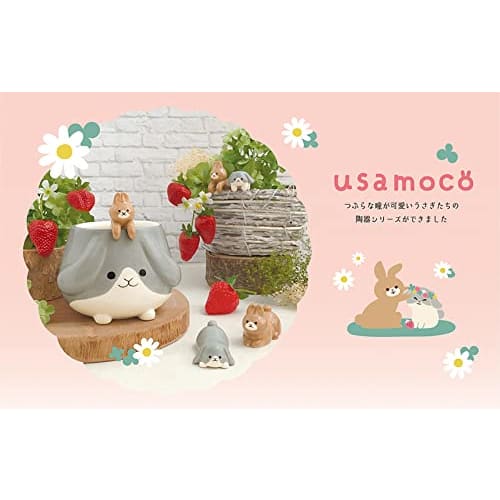 DECOLE Usamoco Spoon BE MG-51353 Edge Spoon, Hook Spoon for Hanging On the Edge