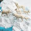 Realistische Wilde Dieren Arctische Wolf Buidelwolf Gorgonops Manenwolf Model Actiefiguren Jungle Bos Dier Speelgoed voor Kinderen