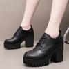 New Women Pumps Shoes Size 32-43 Deep Mouth  Women Oxfords Fall Winter Plush Thick High Heel Shoes Platform Pumps Office