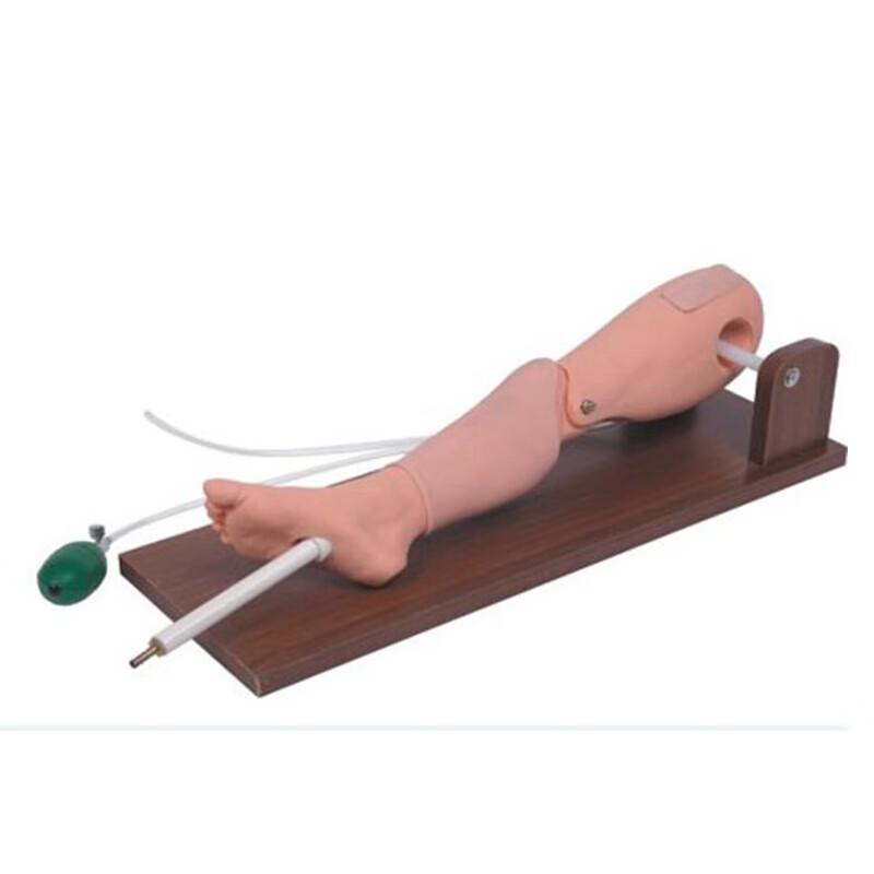 Tibial Bone Marrow & Femoral Vein Puncture Training Model