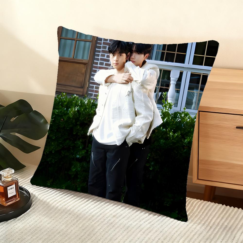 Cushion Cover Silky Short Plush Home Sofa Cushion Cover - Invisible Zipper Home Decoration A Breeze Of Love