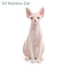 Lifelike Realistic Pet Figurines PVC Cat Action Figures Cute Simulation Pet  Car Decoration