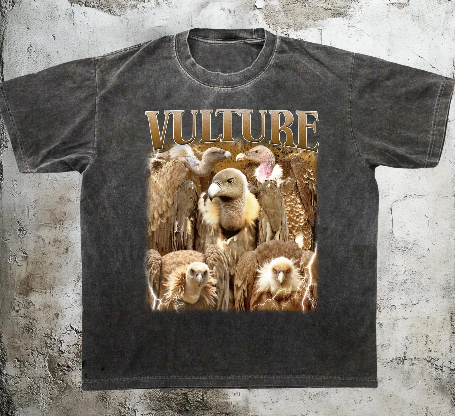 Vintage Vulture Graphic Tee, Bird of Prey Gift, Funny T-Shirt 4XL
