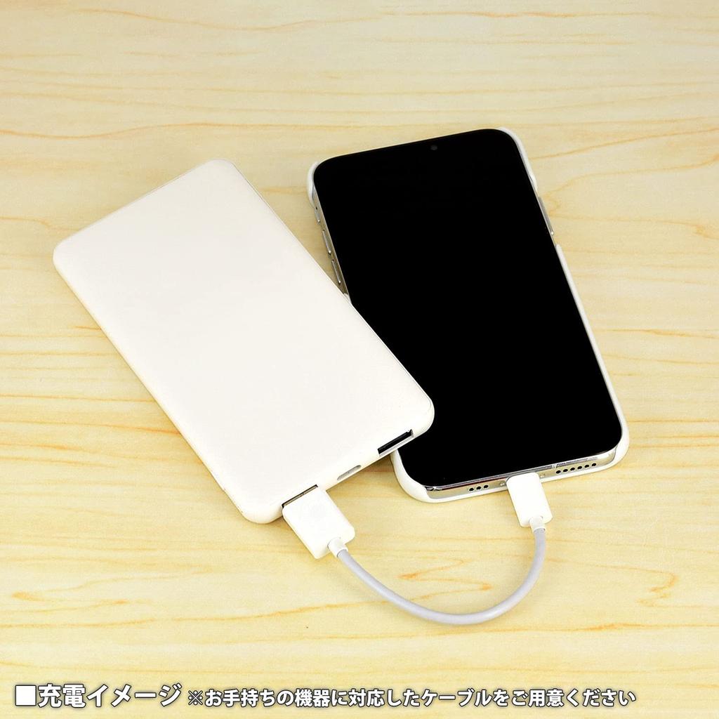 Gourmandies Sanrio Characters 4000mAh Polymer My Pink USB/USB Type-C Lithium-ion Charger, 2.1A, Melody, SANG-124MM,