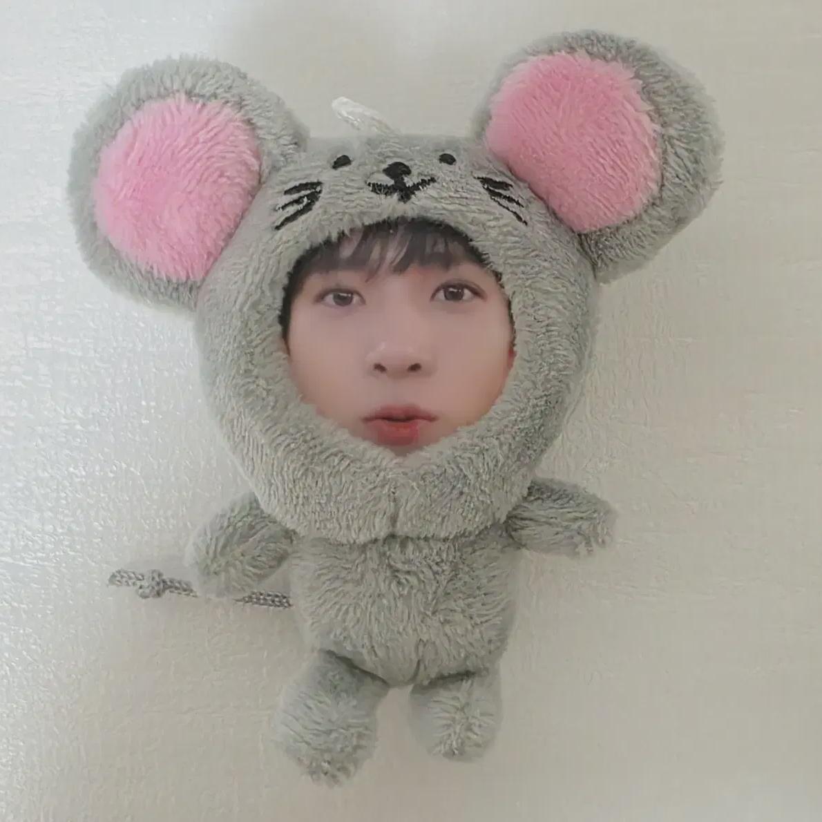 

Enhypen Heeseung Doll Photo Talk
