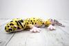 Take Off Animania Leopard Gecko Plush Toy [with Music Box]