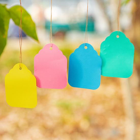 100Pcs/Bag Plant Tags Waterproof Weather Resistant Plastic Colorful Hanging Plant Tags for Garden