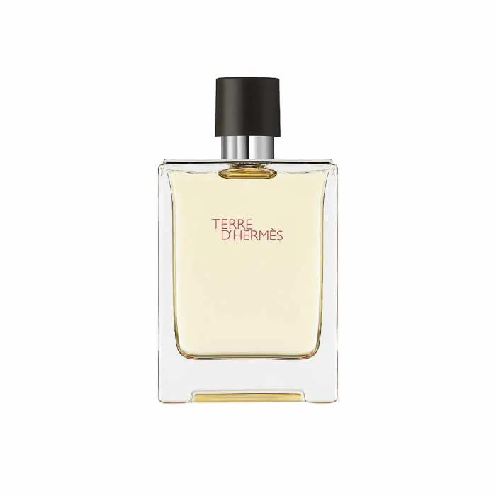 Hermes Terre Hermes Eau De Toilette Spray 100ml