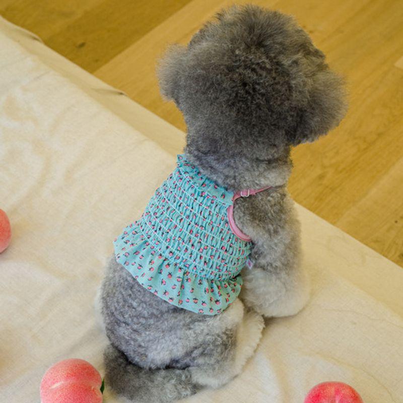 SALTYHEARTY Hello Crop Blouse Peach Mint