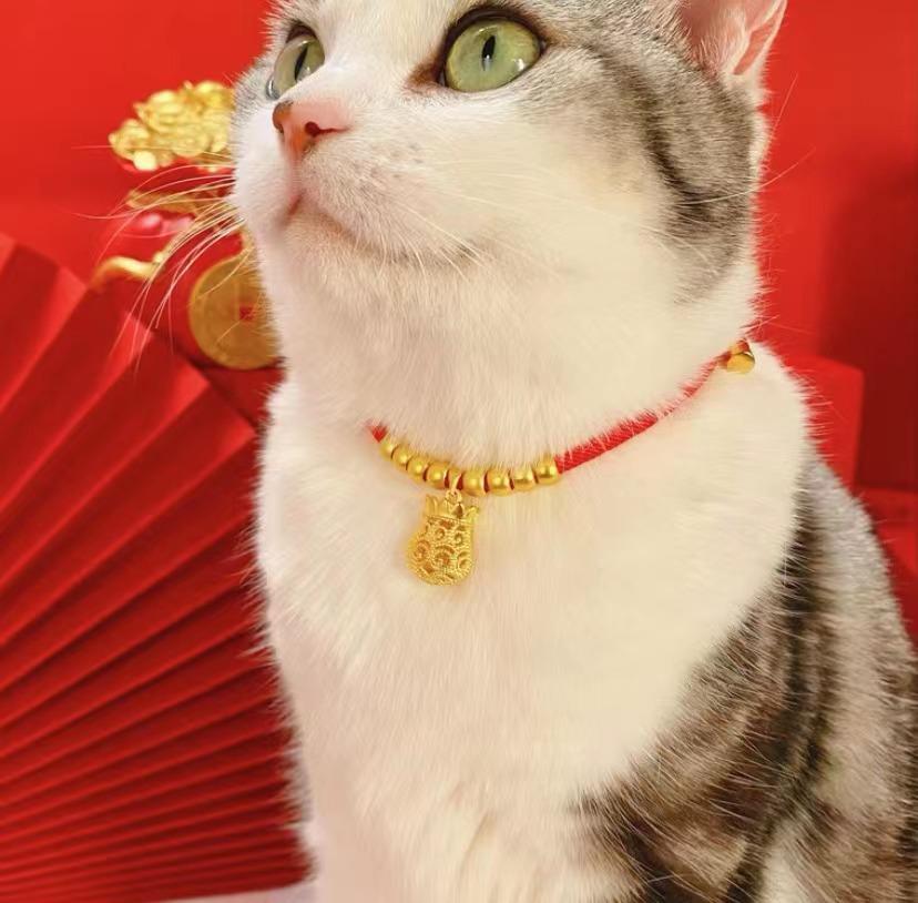Pet New Year Collar: Adjustable Longevity Lock Necklace for Cats & Small Dogs