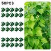 Plant Buckle 50pcs Connectors Strong Climbing Vegetables Fruits Fixed Garden Poles Sun Protection Pole Connectors