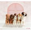 Null Sleep Together Dog 1box 10pcs