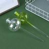 Automatic Cactus Self Watering Planter Cactus Glass Automatic Plant Watering Bulbs Cute Plant Water Feeder Glass Bulbs Indoor