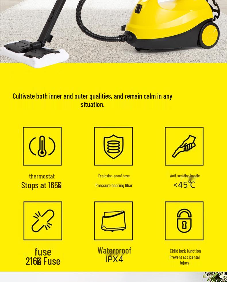 All-in-One High-Pressure Steam Cleaner for Kitchen, Range Hood, and Fabric Sofa