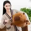 New Balloon Capybara Plush Toy Throw Pillow Chubby Kapibara Doll Doll Gift