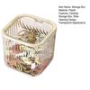 Storage Box with Press To Open Lid Design Anti-Dust Durable Plastic Large Capacity Organizer for Hair Accessories