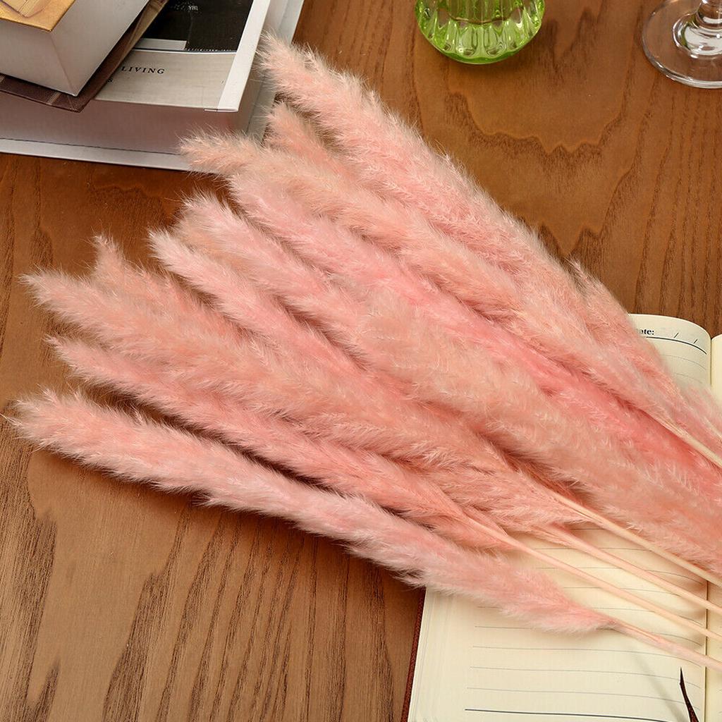 15Pcs Natural Dried Pampas Grass Bundle Art Grasses Home Wedding Flowers Decor