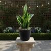 Plastic Seedling Pot with Drainage Holes, Lightweight and Portable for Indoor and Outdoor Flower and Vegetable Planting - Durable,