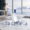 Transparent Core Bottle Goose Bird Shape Whiskey Decanter, 3D Glass Animal Liquor Sculpted for Bar Display, 350ml Art Wine Dispenser Home Amber Liquid