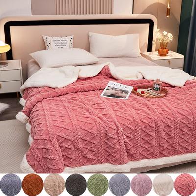 Thick Winter Blanket Throw Soft Warm Wool Blankets for Beds Plaid Taff Cashmere Lamb Thermal Quilt Bedspread