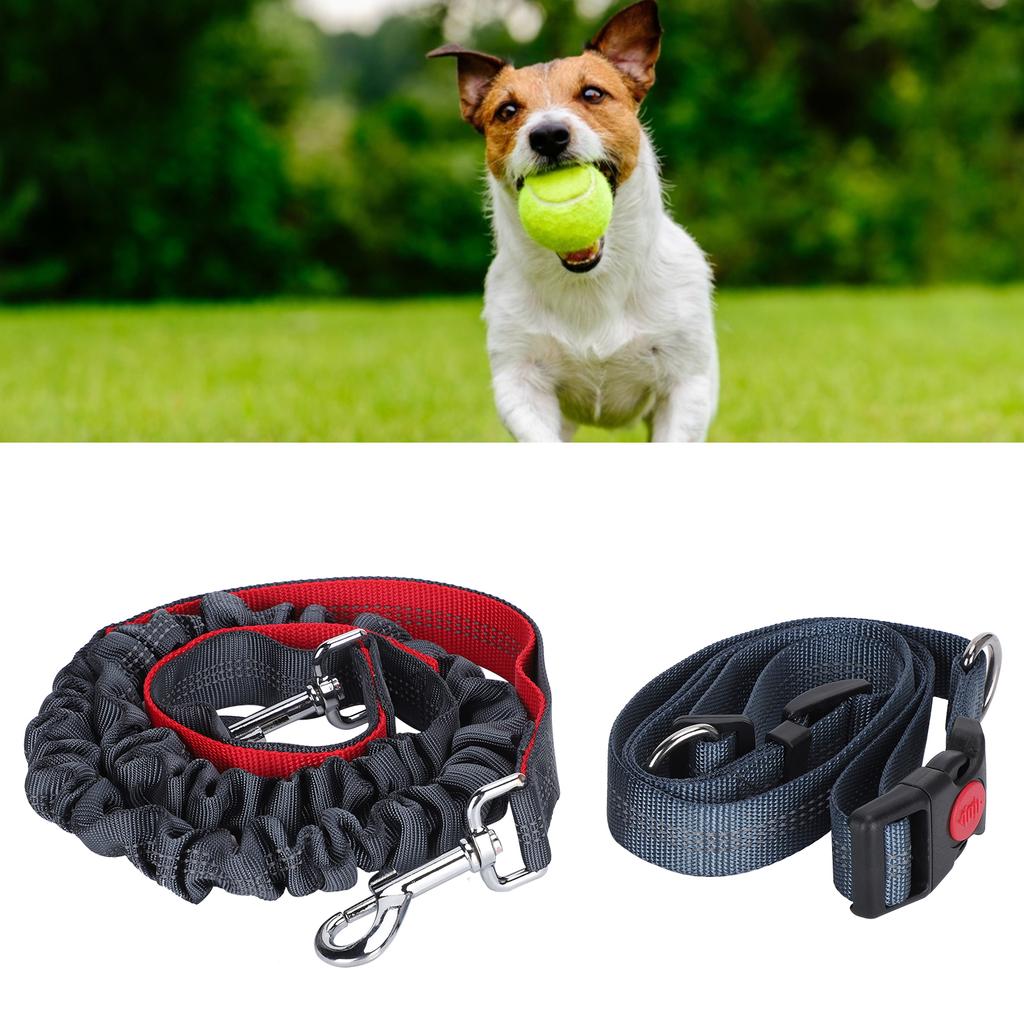 Haustier Hund Nylon Zugseil Reflektierend Bruchfest Outdoor Verstellbar Sicherheitsgurt