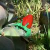 3D Printed Strawberry Crab Figurine Movable Joints Hermit Crab Figure Articulated