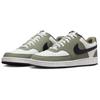 Nike Court Vision Men Low Top Skate Shoes Green IM0459-104