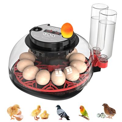 Automatic Egg Incubator with Egg Inspection Light Safego Incubator Thermostat 12 Eggs Automatic Water Supply Automatic Egg Turning Automatic